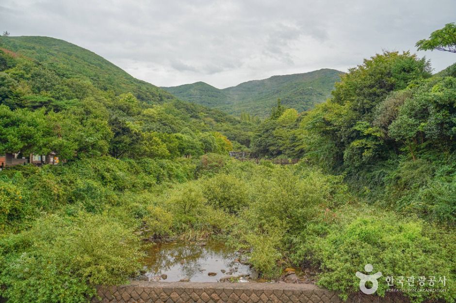 thumbnail-완도수목원-16