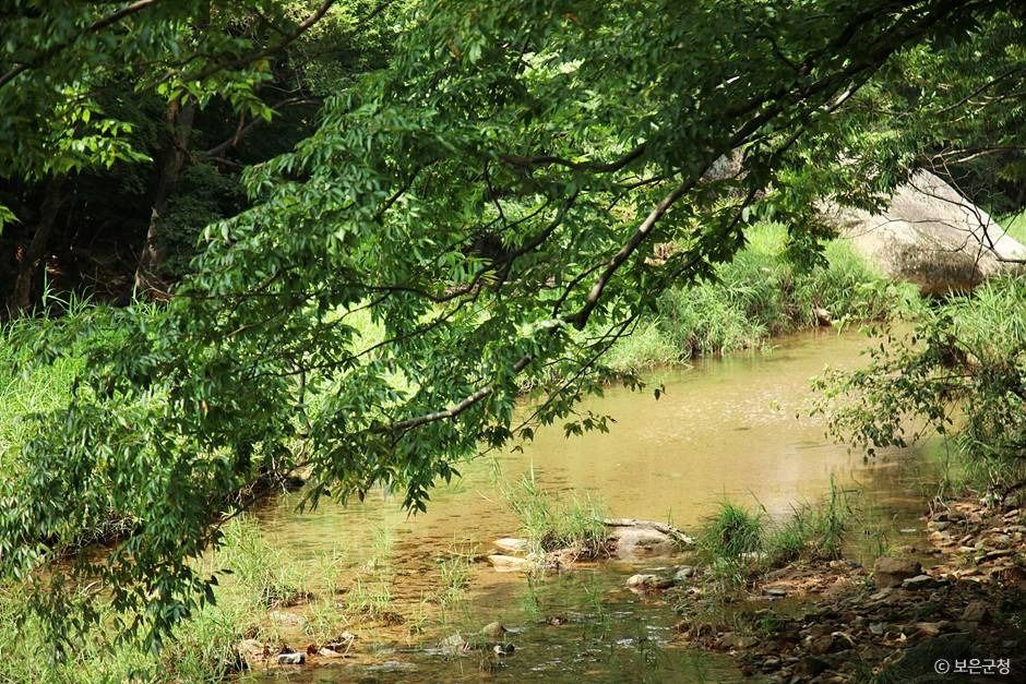 보은_세조길 (5)