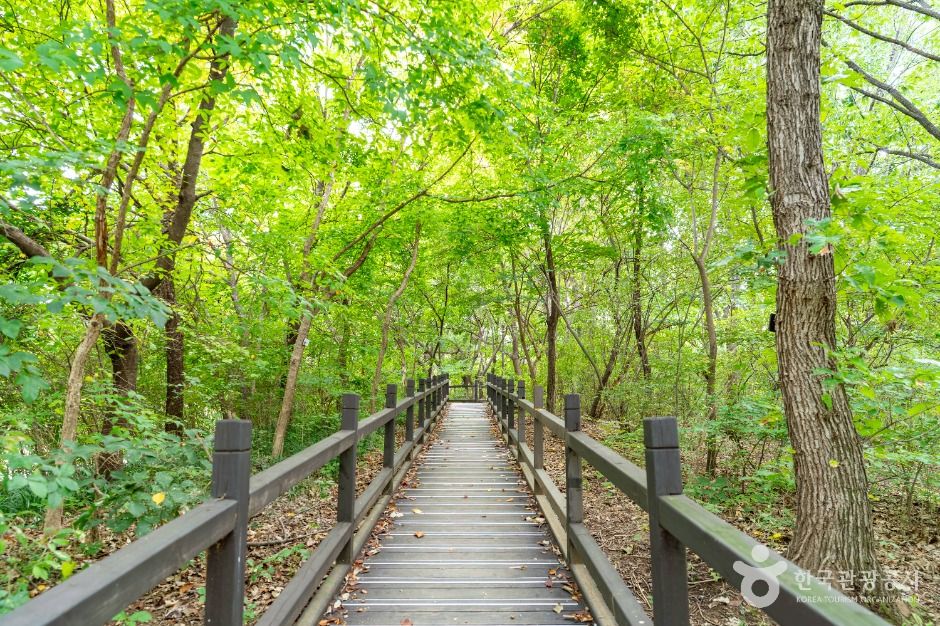 서울_여의도공원 (3)