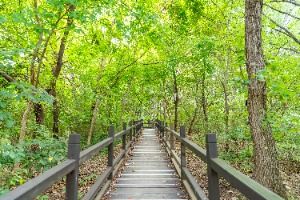 서울_여의도공원 (3)