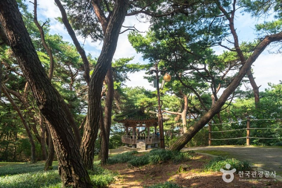 충주_충주 탄금대와 탄금대공원 (5)