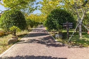 신안_저녁노을미술관 (3)