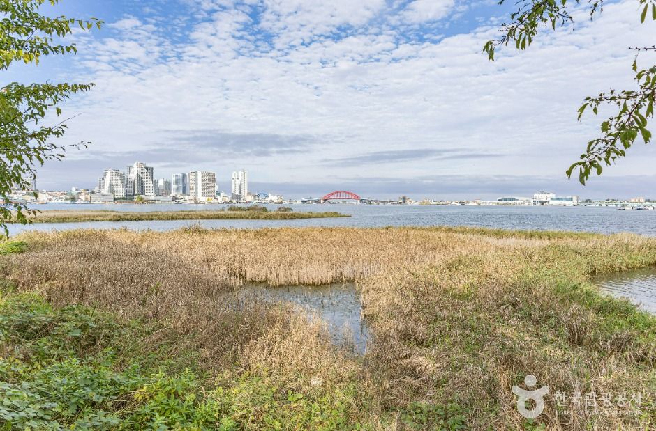 See Cheongchoho (청초호)