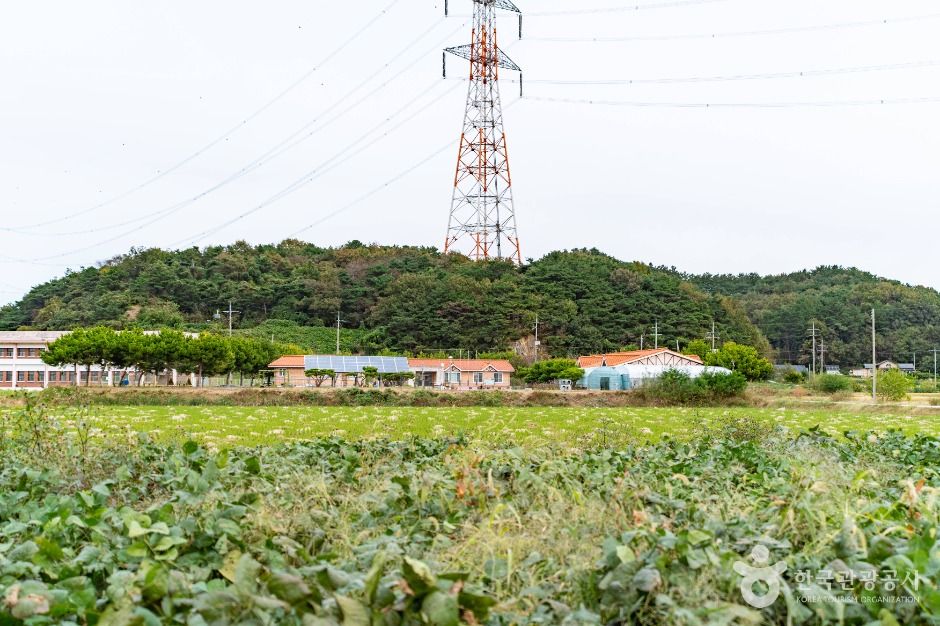 thumbnail-황토권역 당나루물꽃마을-4