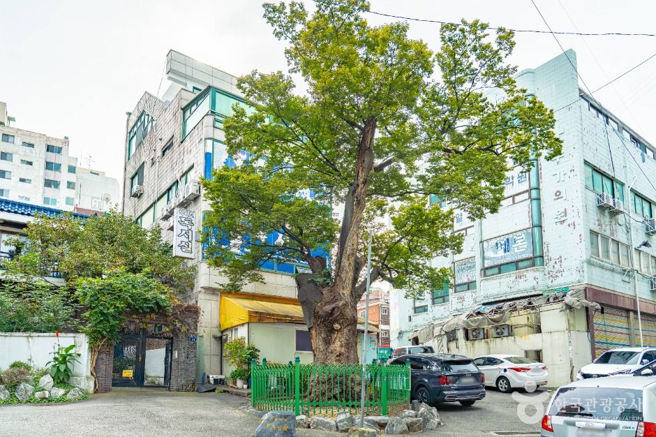 부천시_부천문화둘레길-소사내음길 (9)