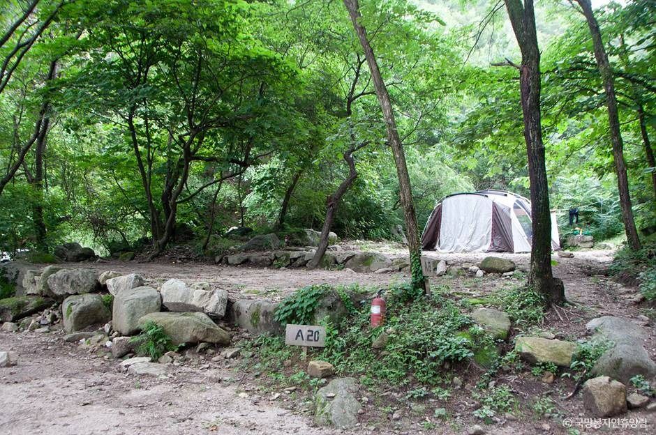 thumbnail-국망봉자연휴양림-14
