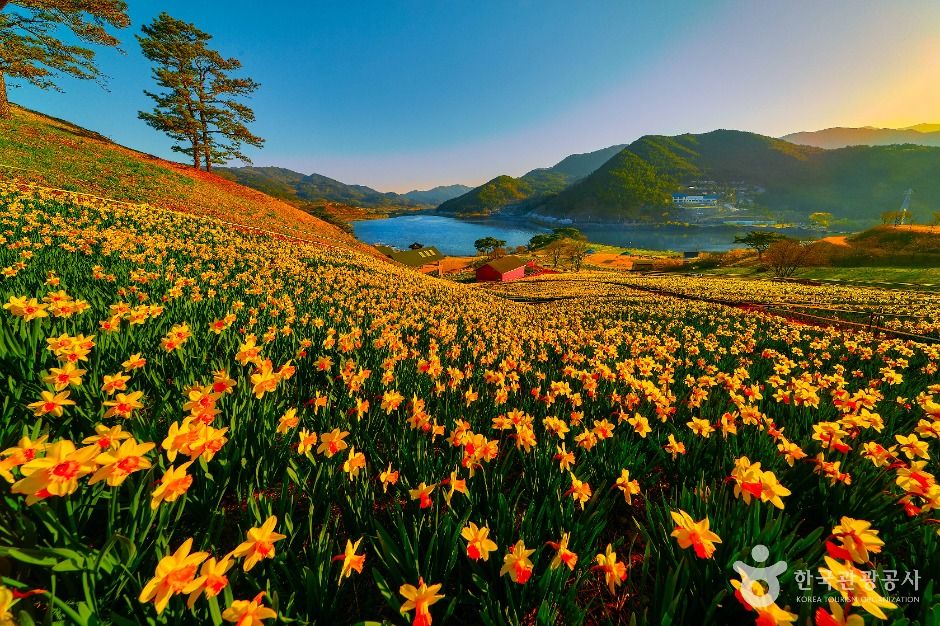 지리산치즈랜드