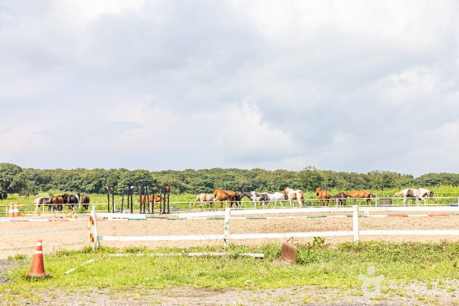 교래 삼다수마을