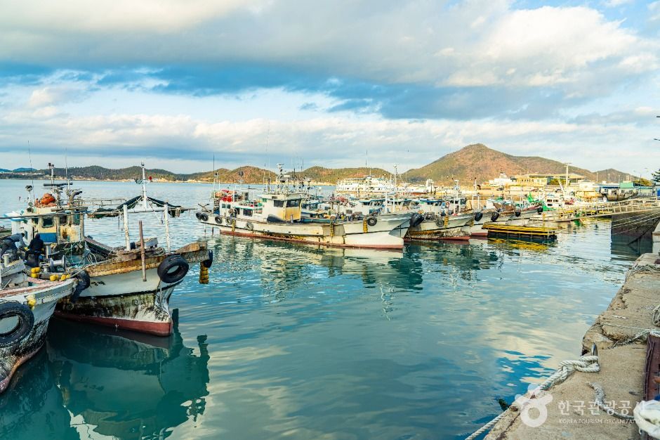 thumbnail-완도항-12