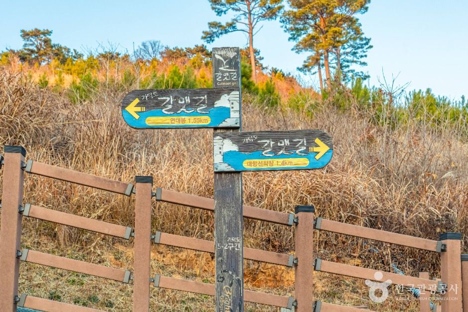 [부산 갈맷길] 5코스