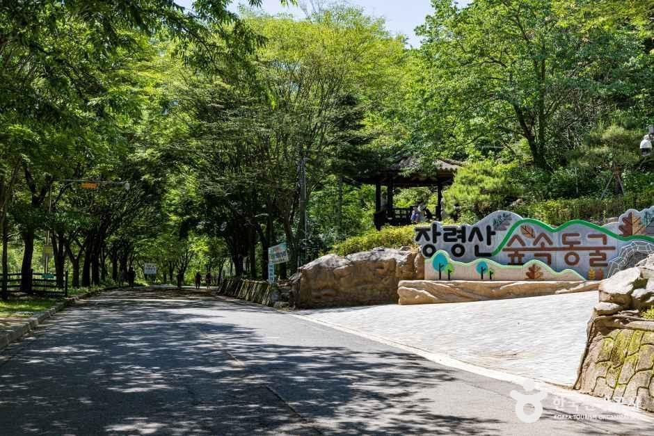 thumbnail-장령산자연휴양림-1