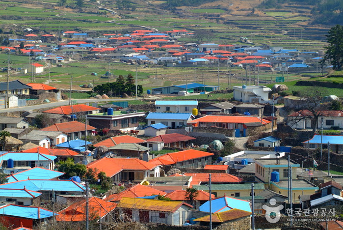 �縮���� ����