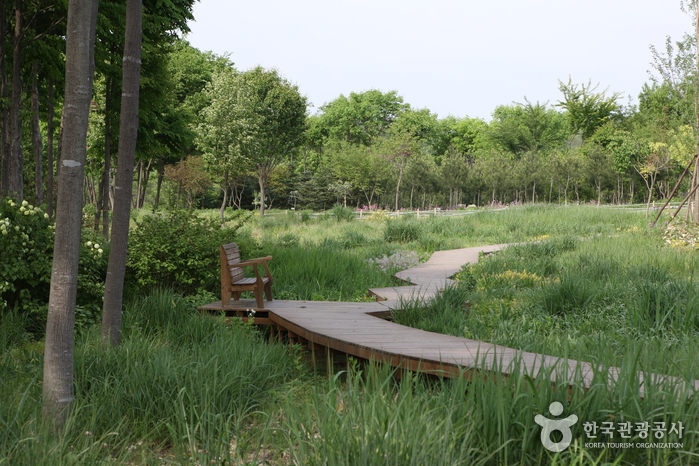 Hantaek Botanical Garden (한택식물원)