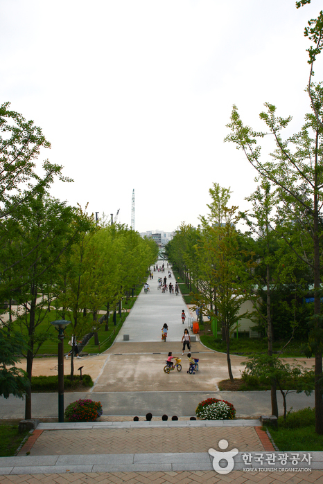 Seoul Forest (서울숲)