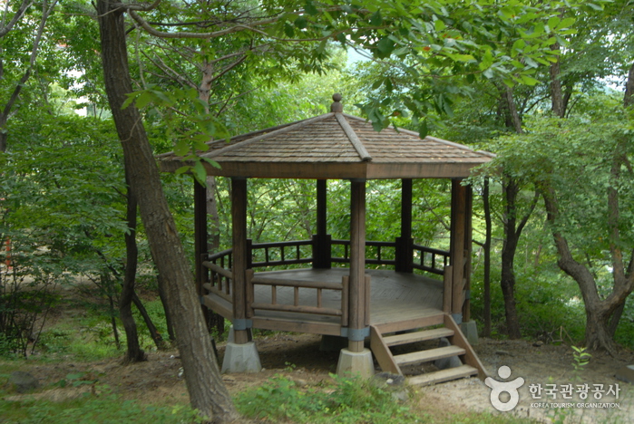 La Forêt Oknyeobong de Sobaeksan (소백산 옥녀봉자연휴양림)