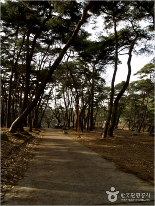 Eunhaesa Temple (은해사)