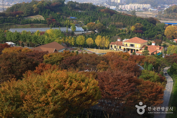 세종특별자치시4