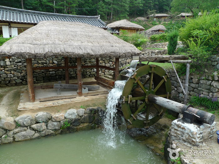 Andong Folk Village (안동민속촌과 안동호)