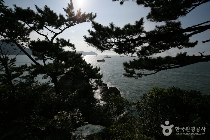 釜山岩南公园(부산 암남공원)5