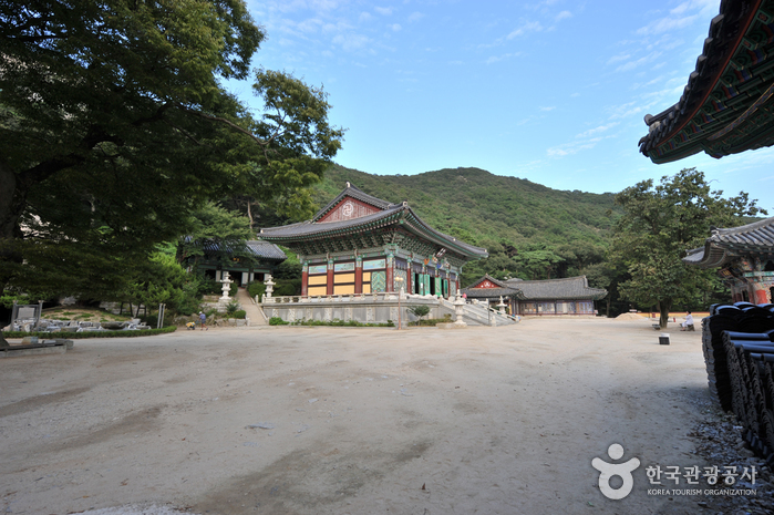 Ganghwa Bomunsa Temple (보문사 (강화))3