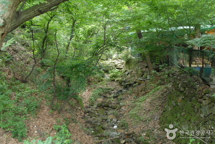 宝文山幸せの森トゥルレ道（보문산 행복 숲 둘레길）