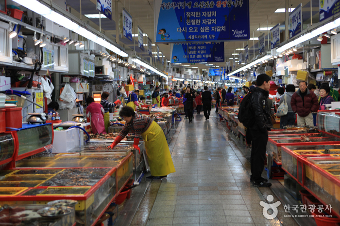 Mercado Jagalchi de Busan (부산 자갈치시장)0