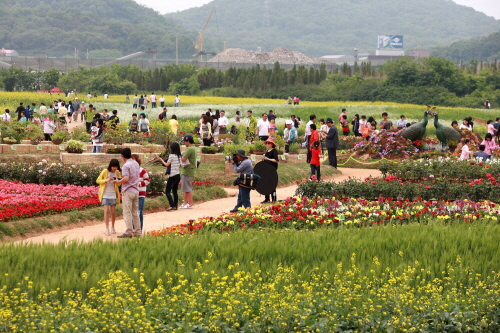 Dream Park (수도권매립지 야생화단지 드림파크)
