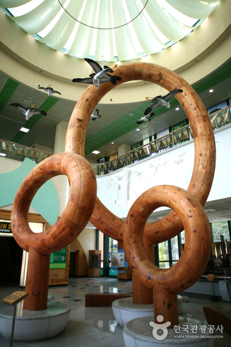 자연과 나무, 인간을 상징하는 산림과학관 1층 로비의 나무 조형물