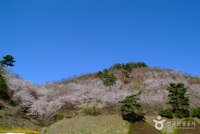 Maisan Provincial Park (마이산도립공원)