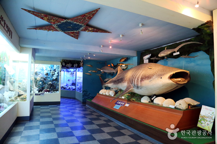 タンクッ海洋自然史博物館（땅끝해양자연사박물관）