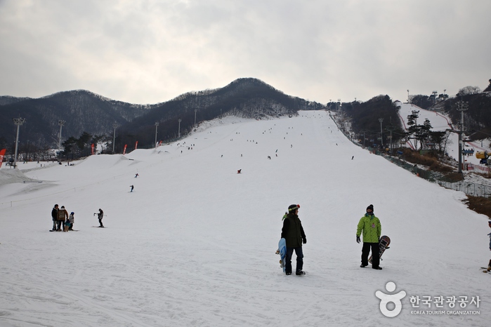 Estación de Esquí de Jisan Forest Resort (지산 포레스트 리조트 스키장)