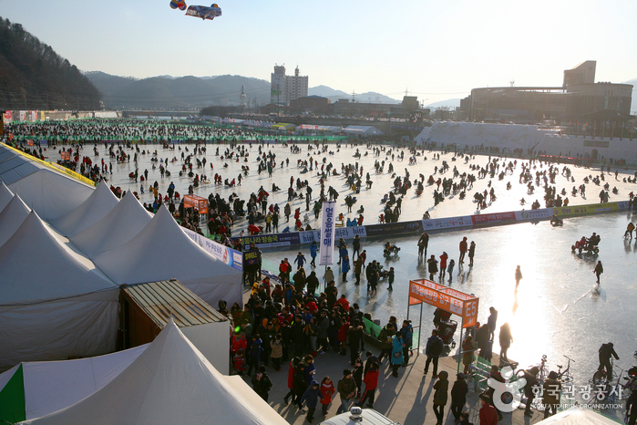 Festival du pays des glaces à Hwacheon (얼음나라 화천 산천어축제)