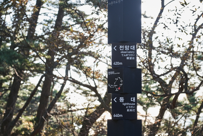 太宗台（釜山国家地質公園）（태종대（부산 국가지질공원））