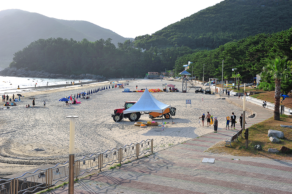 송정솔바람해변캠핑장