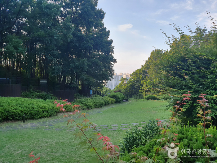 오대산 자연명상마을9