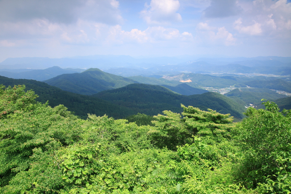 국립 장성숲체원 치유의숲 (장성편백치유의숲)