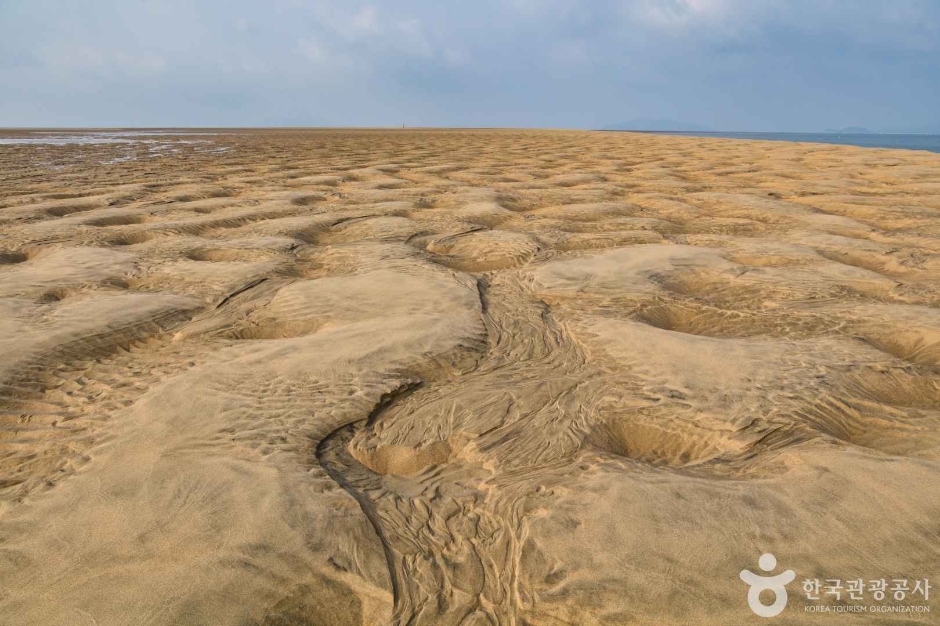 풀등모래섬 (9)