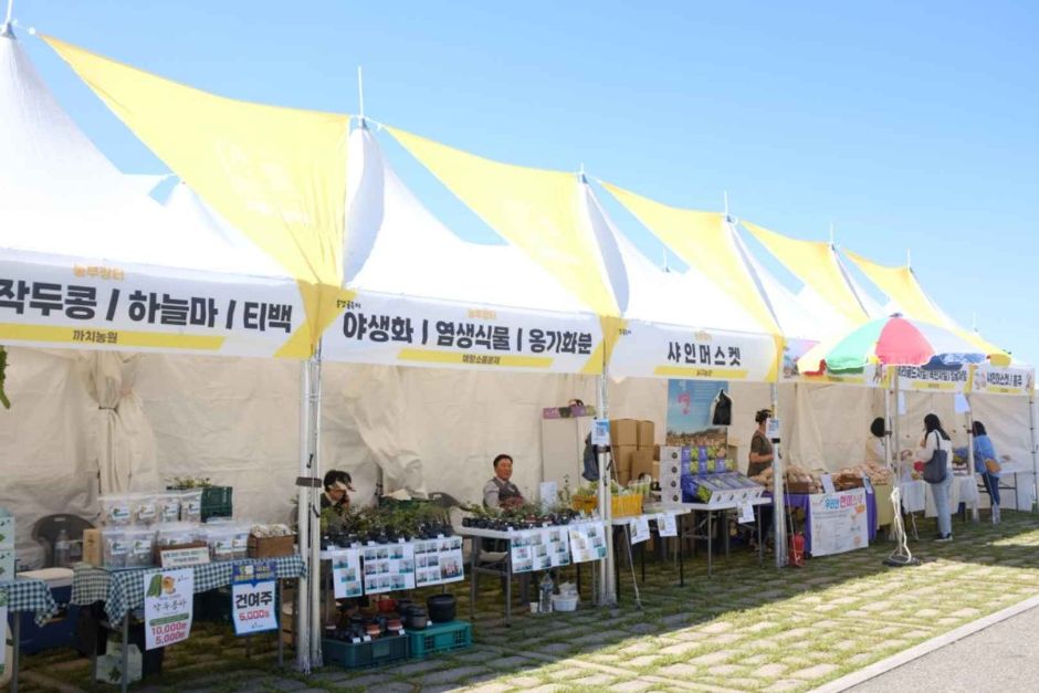 Siheung Gaetgol Festival (시흥갯골축제)