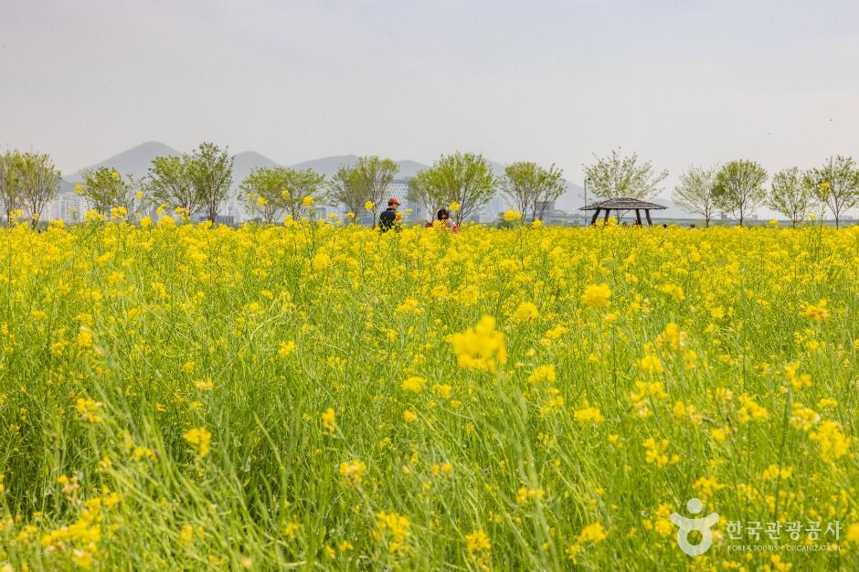 대저생태공원