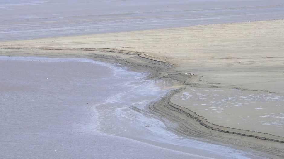 파주_파주 DMZ 생태연구소 (14)