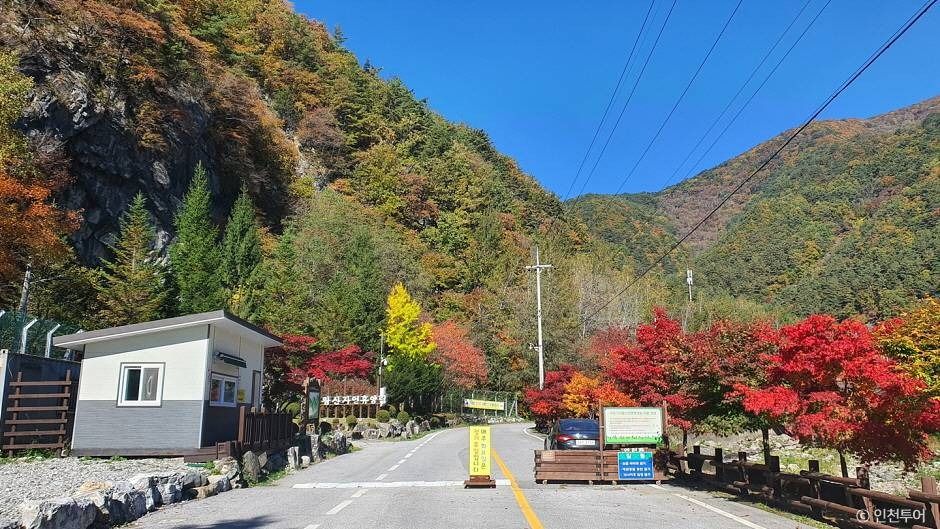 국립 가리왕산자연휴양림