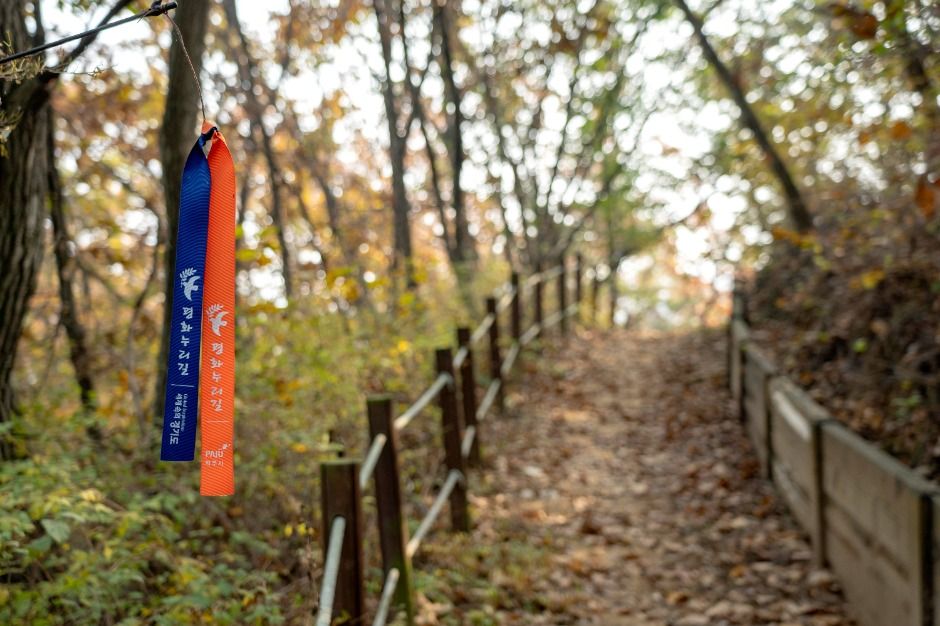 파주_[평화누리길 9코스] 율곡길 (7)