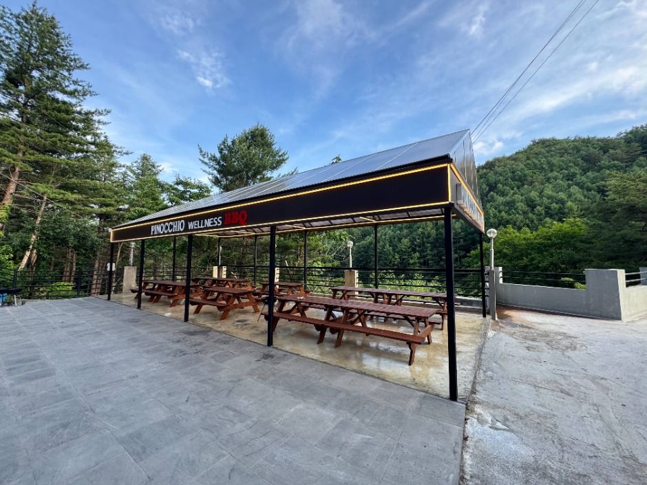 thumbnail-피노키오청소년수련원(피노키오 캠핑장)-24