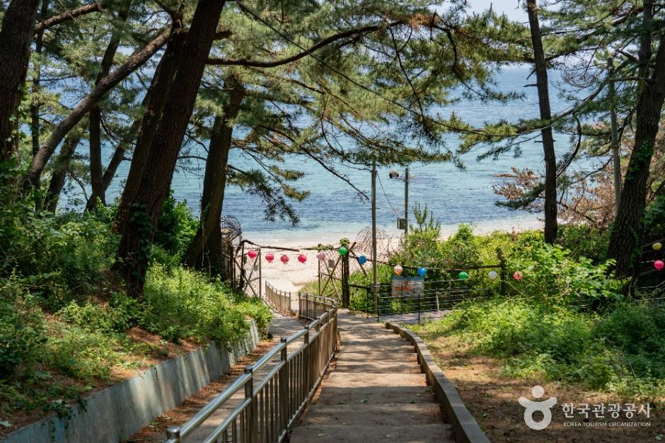 감추해변