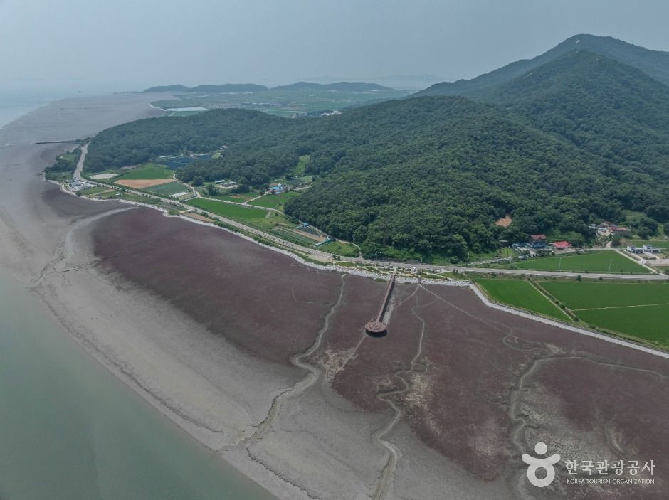 석모도 칠면초 군락지