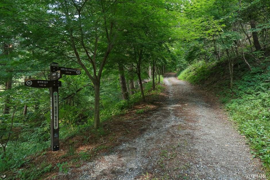 연화산둘레길