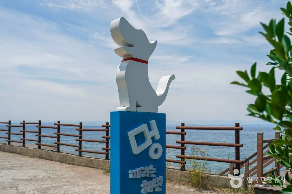 포항_흥환간이해수욕장 (4)