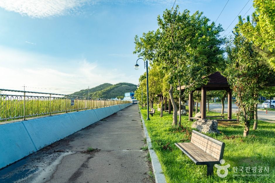 탄도어촌체험마을