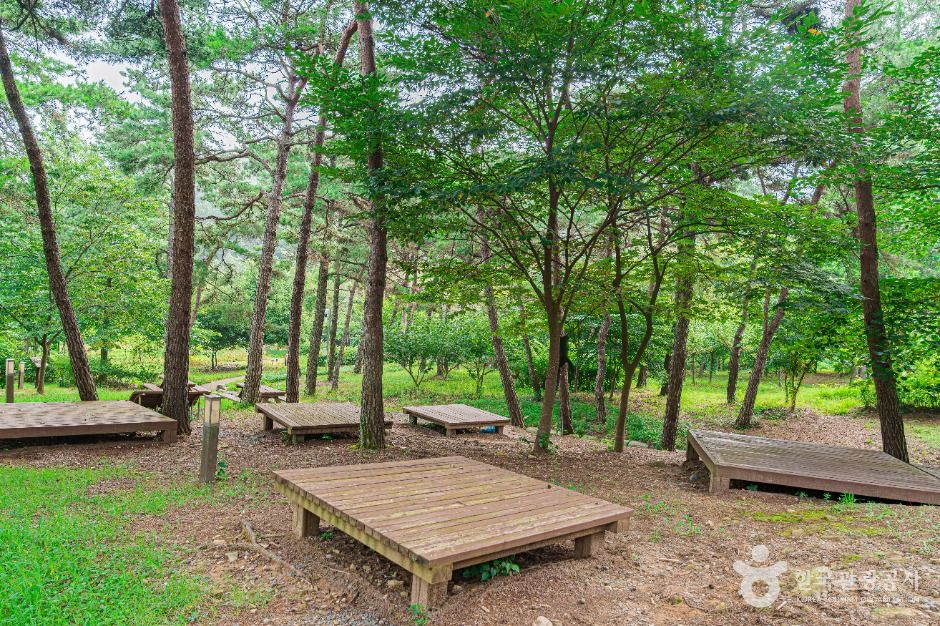 금성산생태숲