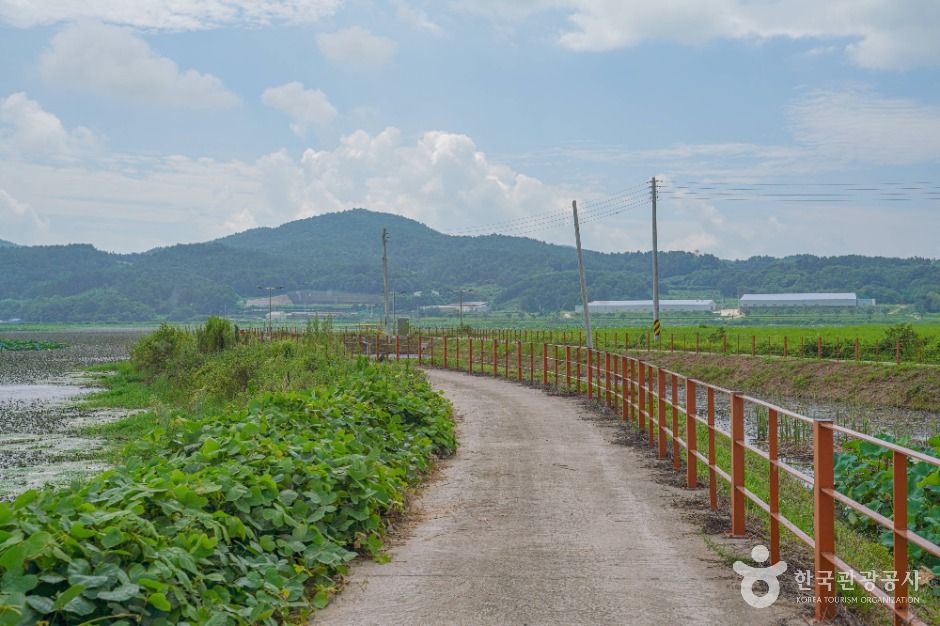 장흥_포항저수지 (4)